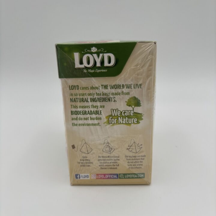 Alternative view of Loyd Mint with Raspberry